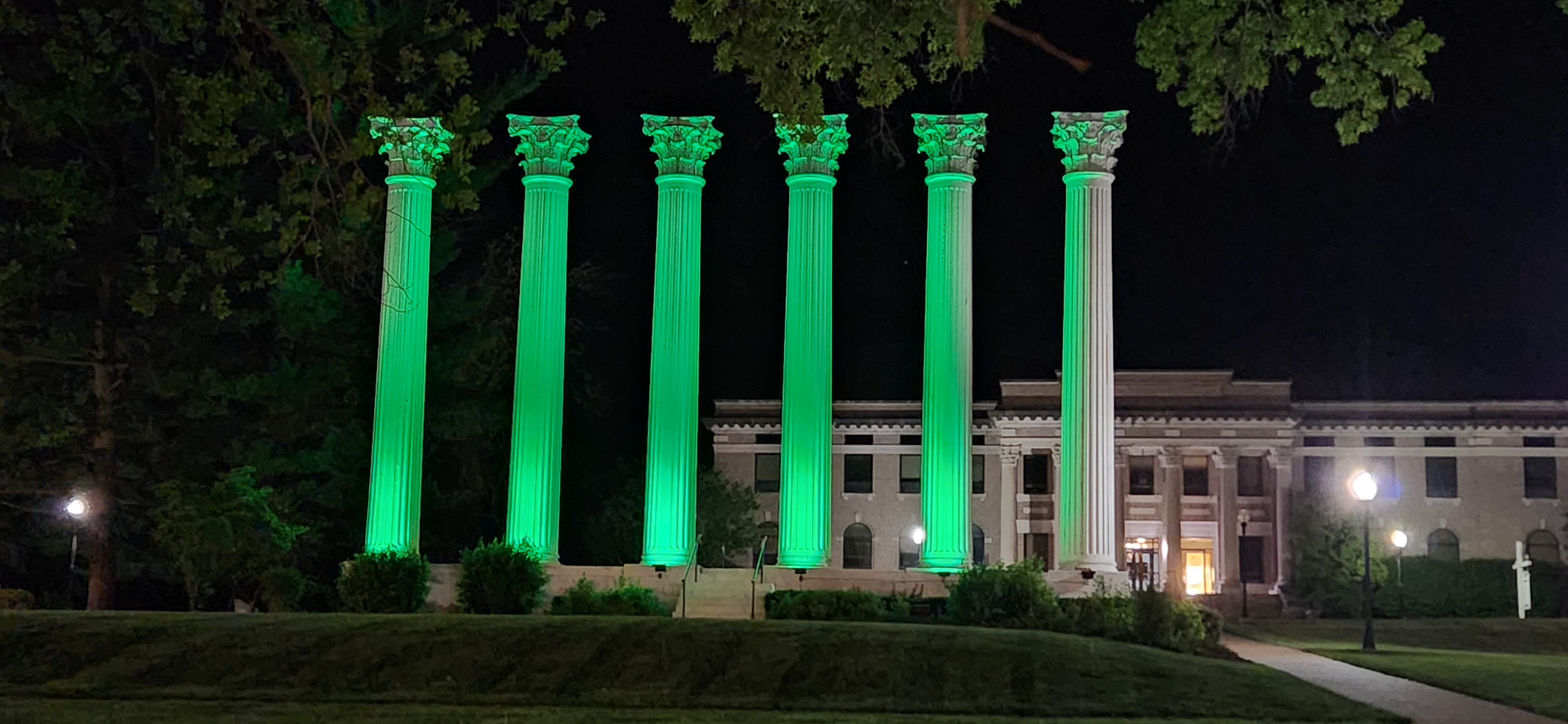 Green-Columns---green-dot-week.jpg