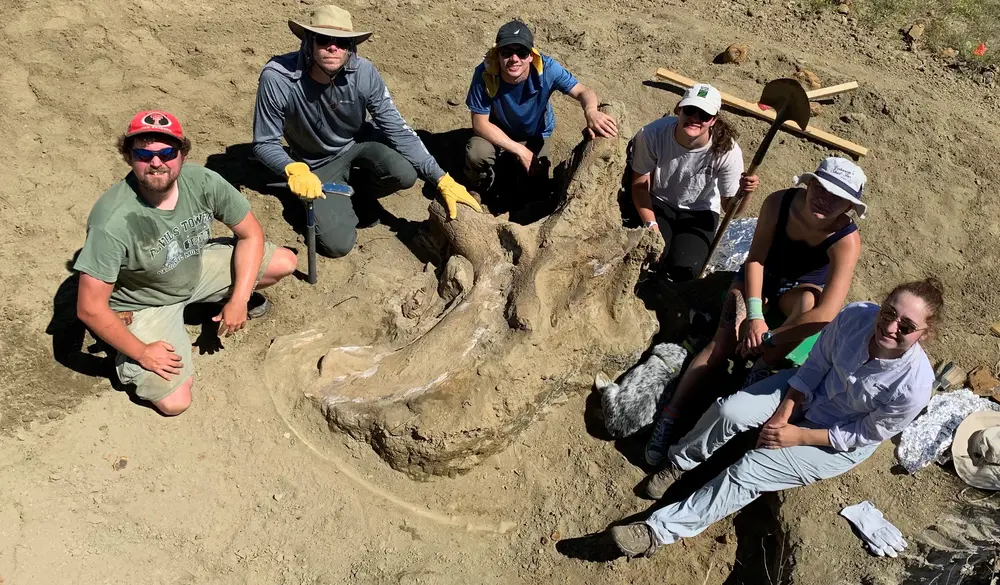 Dig site photo 1