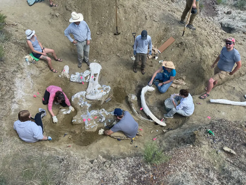 Dig site photo 2